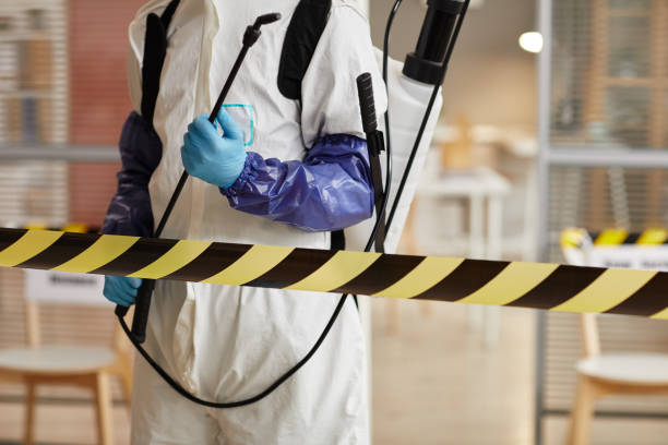 Professional Sewage Cleanup technician working in New Lisbon, WI